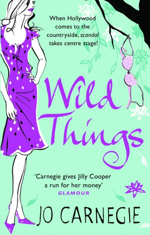 Wild Things : (Churchminster: book 3): an addictive, funny and feel-good rom-com you’ll want to devour-9780552160865