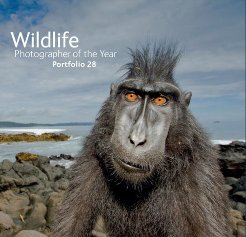 Wildlife Photographer of the Year: Portfolio 28-9780565094287