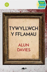 Stori Sydyn: Tywyllwch y Fflamau-9781800996199