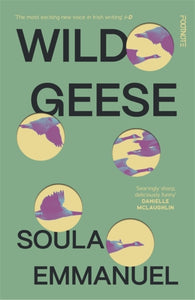 Wild Geese : 'The most exciting new voice in Irish writing' i-D-9781804440162