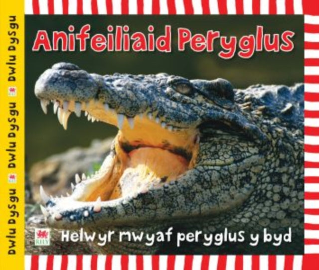 Cyfres Dwlu Dysgu: Anifeiliaid Peryglus-9781849672016
