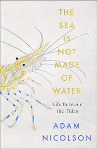 the sea is not made of water : Life Between the Tides-9780008294779