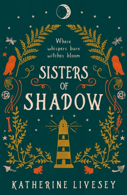 Sisters of Shadow : Book 1-9780008467708