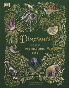 Dinosaurs and other Prehistoric Life-9780241491621