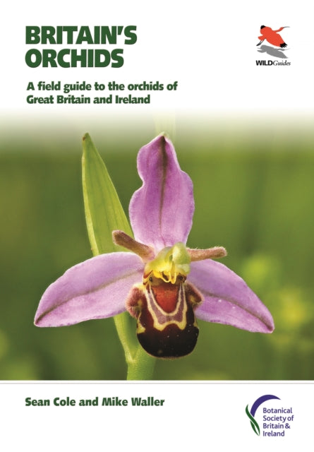 Britain's Orchids : A Field Guide to the Orchids of Great Britain and Ireland-9780691177618