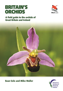 Britain's Orchids : A Field Guide to the Orchids of Great Britain and Ireland-9780691177618