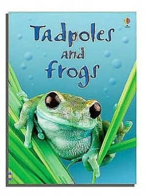 Tadpoles and Frogs-9780746074558