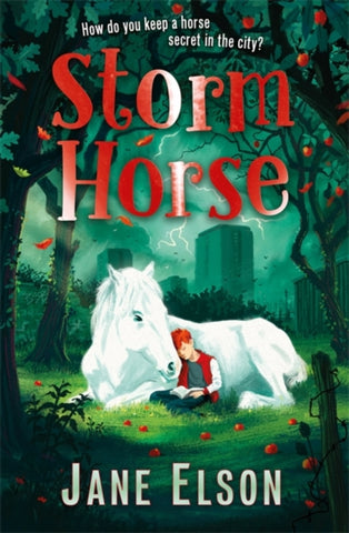 Storm Horse-9781444955699