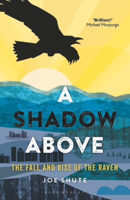 A Shadow Above : The Fall and Rise of the Raven-9781472940292