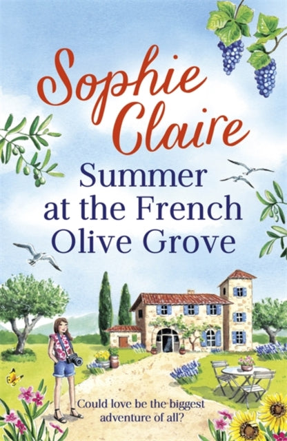 Summer at the French Olive Grove : The perfect romantic summer escape-9781529349955