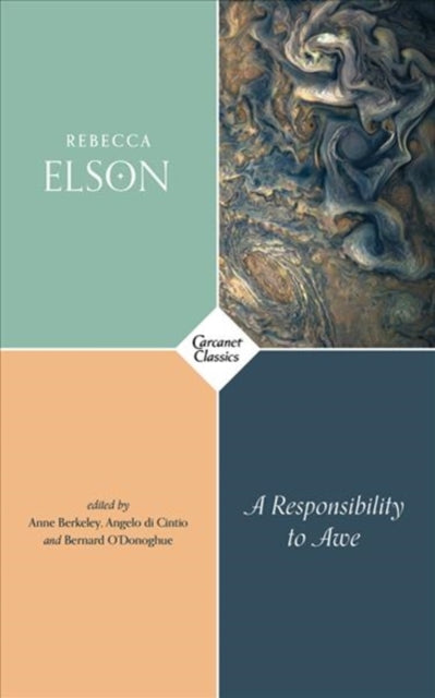 A Responsibility to Awe-9781784106553