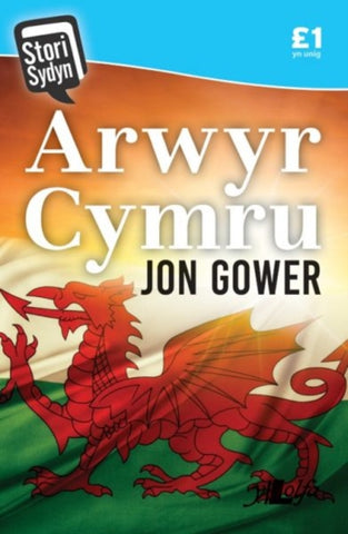 Stori Sydyn: Arwyr Cymru-9781784615475