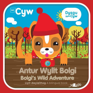 Antur Wyllt Bolgi-9781784618025