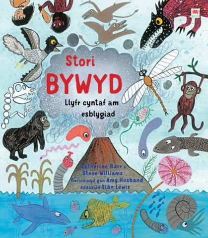 Stori Bywyd-9781849673983