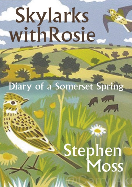 Skylarks with Rosie : A Somerset Spring-9781913393045